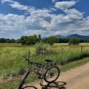 KHS Bicycles Montana Crest White and Pink