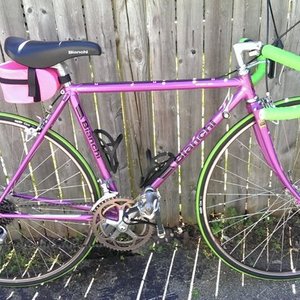 1988 Bianchi sport sx  Purple