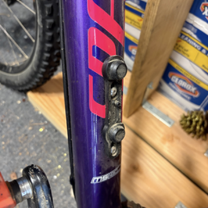 Specialized Purple