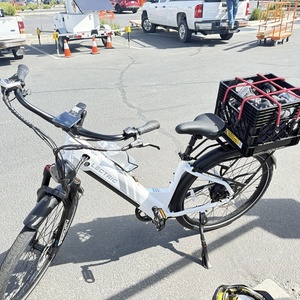 2026 Lectric eBikes Xpress 750 White