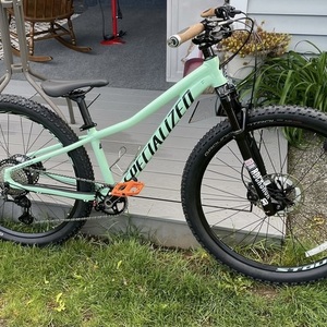 2021 Specialized Rockhopper Green