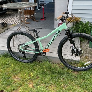 2021 Specialized Rockhopper Green