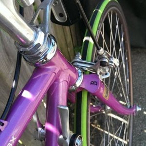 1988 Bianchi sport sx  Purple