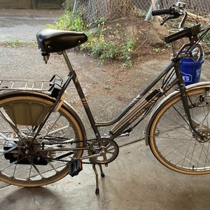 1989 Saxonette Hercules Silver, gray or bare metal