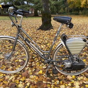 1989 Saxonette Hercules Silver, gray or bare metal