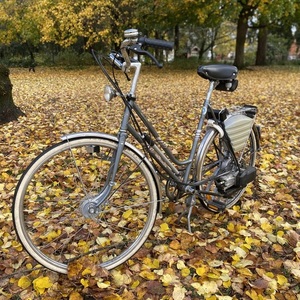 1989 Saxonette Hercules Silver, gray or bare metal