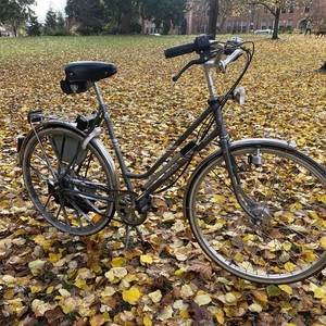 1989 Saxonette Hercules Silver, gray or bare metal