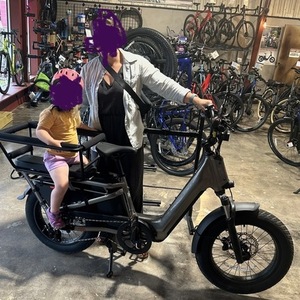 2024 Momentum Cito Silver, gray or bare metal