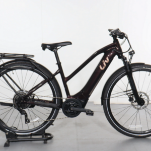 2023 Giant Amiti E+ Brown