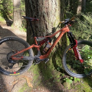 2024 Orbea Rallon Orange and Yellow or Gold