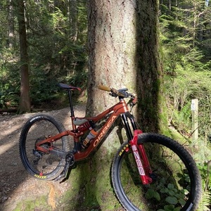 2024 Orbea Rallon Orange and Yellow or Gold