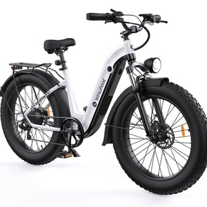 2025 Isinwheel U8 White