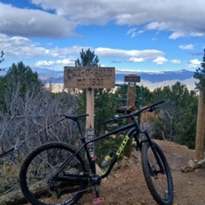 2020 Salsa Black and Yellow or Gold