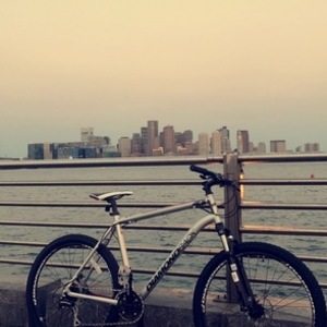 Diamondback Silver or Gray and Red