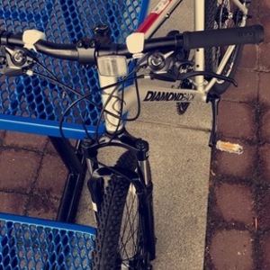 Diamondback Silver or Gray and Red