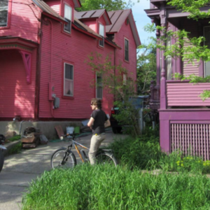 2015 Schwinn Rocket 6 Silver, gray or bare metal and Orange