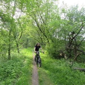 2015 Schwinn Rocket 6 Silver, gray or bare metal and Orange