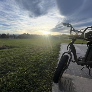 2026 Rad Power Bikes RadRunner 2 Utility Bike Green