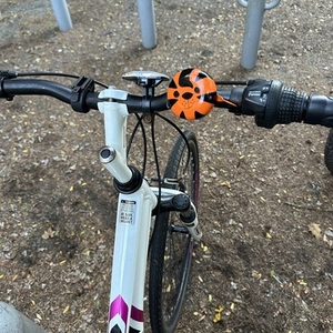 Schwinn gtx White and Pink