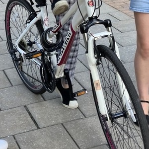 Schwinn gtx White and Pink