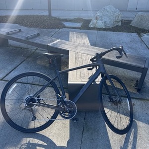 Trek Domane Al 2 Silver, gray or bare metal