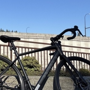 Trek Domane Al 2 Silver, gray or bare metal