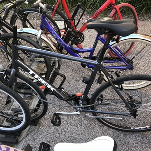 2017 Trek Alpha Aluminum Silver or Gray