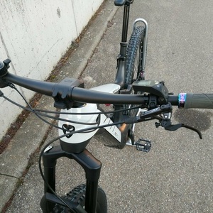 2020 Rotwild R.C750 White and Black