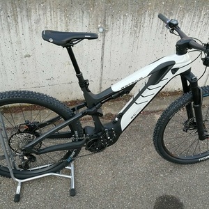 2020 Rotwild R.C750 White and Black