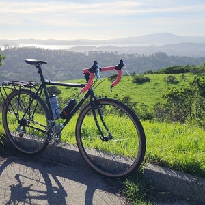 2010 Surly Cross Check Black and Pink