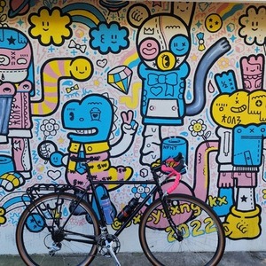 2010 Surly Cross Check Black and Pink