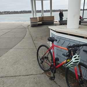 All City Zig Zag Red