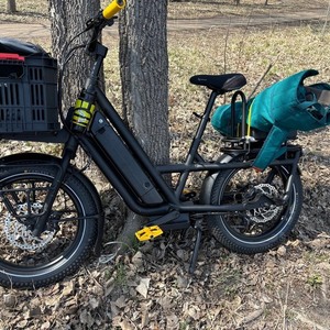 Specialized Haul ST Black