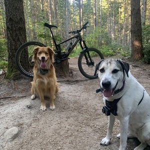 2022 Santa Cruz Nomad Red