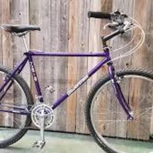 1995 Bridgestone Purple
