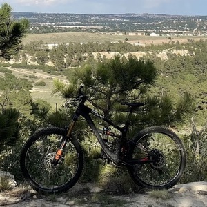 2020 Spot Rollik 150 Black