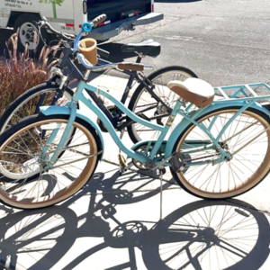 2017 Schwinn Trailway Blue