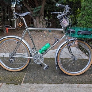 1984 Ross Mt Whitney Silver, gray or bare metal