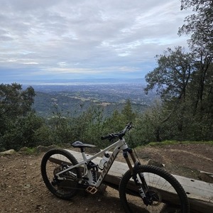 2025 Pivot Firebird White