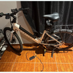 2025 Ebike 22CB2702YD White