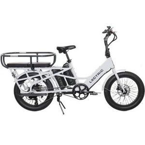 2023 Lectric eBikes Xpedition Cargo cargo bike rear White