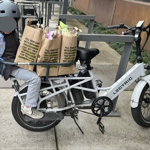 2023 Lectric eBikes Xpedition Cargo cargo bike rear White
