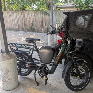 2025 Rad Power Bikes RadRunner Max Green