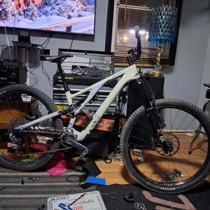 Specialized Stumpjumper Evo White