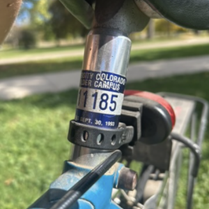 2026 Bridgestone Teal