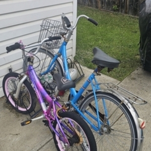 1970 Other Vintage ladies style cruiser Blue