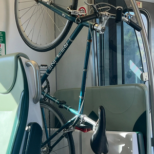 2007 Redline 925 Teal