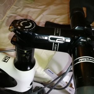 2012 Cannondale Synapse Black and White