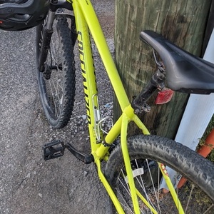 Specialized Rockhopper Yellow or Gold