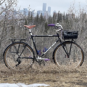 1989 Diamondback Apex